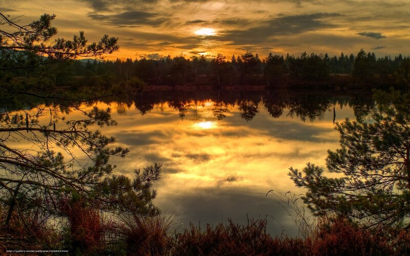 Sunset over Lake — Gold, Serene, Photograph, Trees, Sky