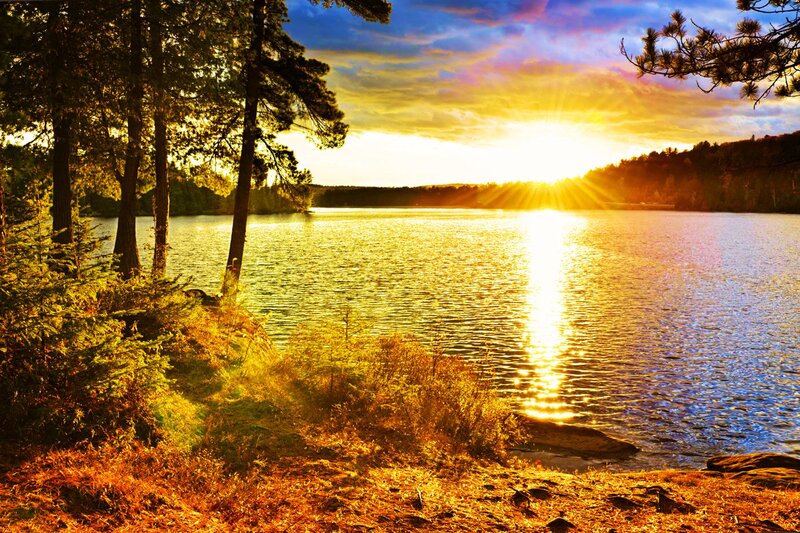 Sunset over Lake — Gold, Serene, Photograph, Trees, Sun