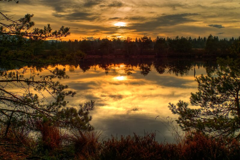 Sunset over Lake — Gold, Serene, Photograph, Trees