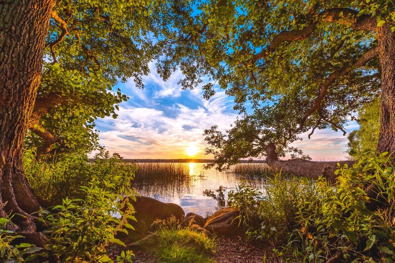 Sunset over Lake — Green, Serene, Photograph, Trees, Sky