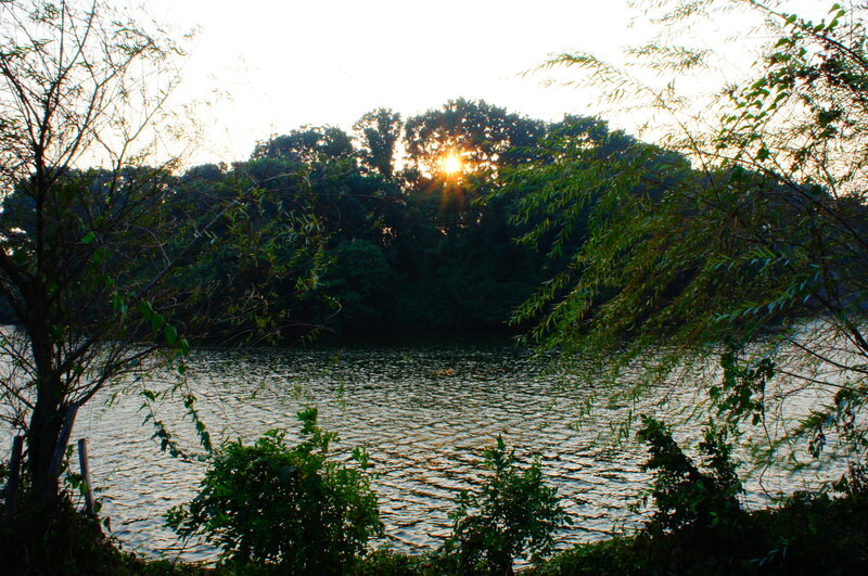 Sunset over Lake — Green, Serene, Photograph, Trees