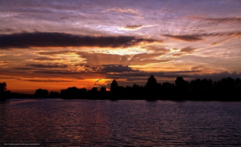 Sunset over Lake — Orange, Dramatic, Photograph, Clouds, Bird