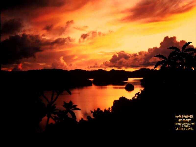 Sunset over Lake — Orange, Dramatic, Photograph, Clouds, Palm Trees