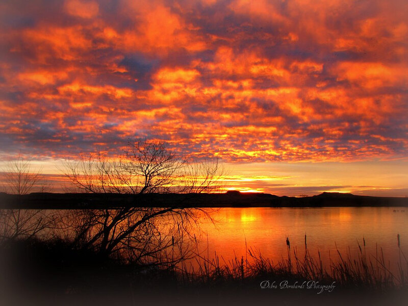 Sunset over Lake — Orange, Dramatic, Photograph, Clouds, Tree