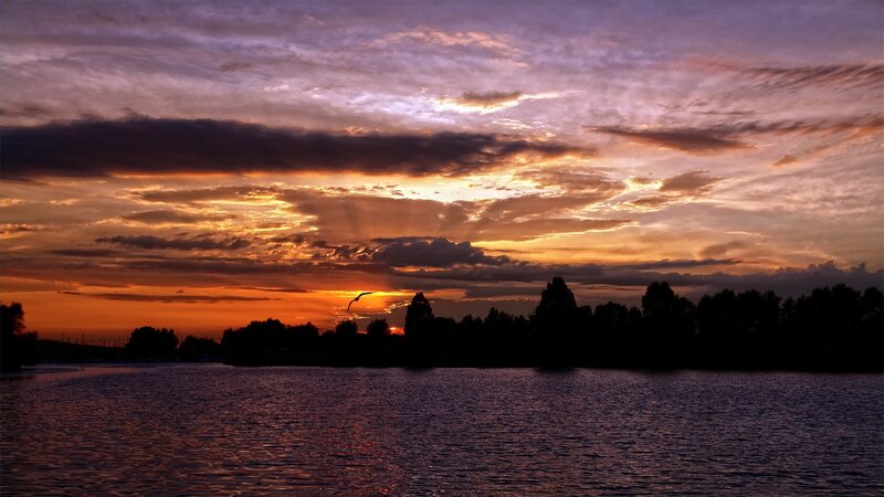 Sunset over Lake — Orange, Dramatic, Photograph, Clouds, Trees, Bird