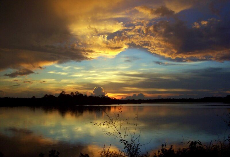 Sunset over Lake — Orange, Dramatic, Photograph, Clouds, Trees, Plants