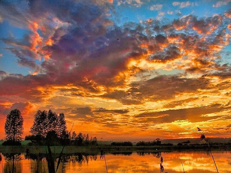 Sunset over Lake — Orange, Dramatic, Photograph, Clouds, Trees