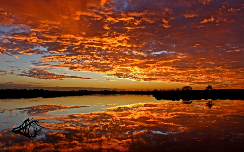 Sunset over Lake — Orange, Dramatic, Photograph, Clouds, Water, Trees