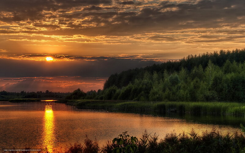 Sunset over Lake — Orange, Dramatic, Photograph, Forest