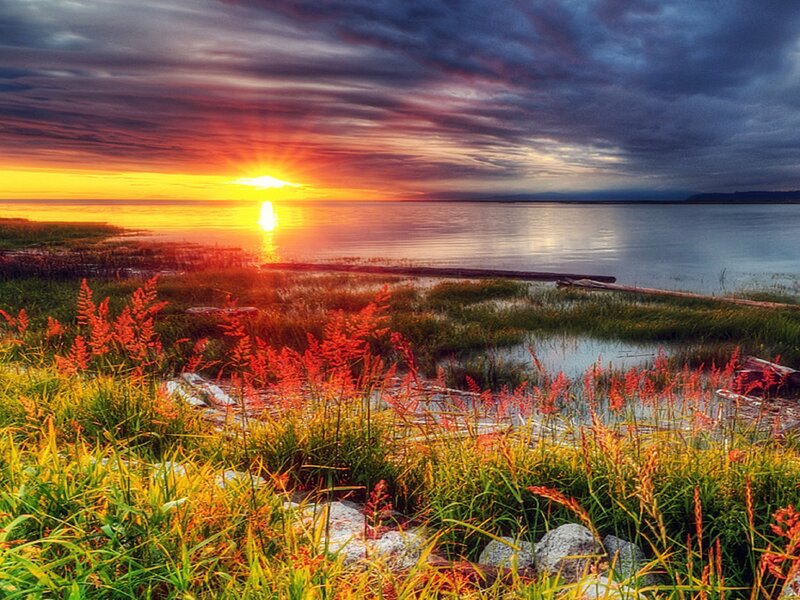 Sunset over Lake — Orange, Dramatic, Photograph, Grass, Water, Sky