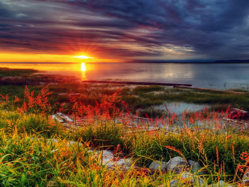 Sunset over Lake — Orange, Dramatic, Photograph, Grass, Water
