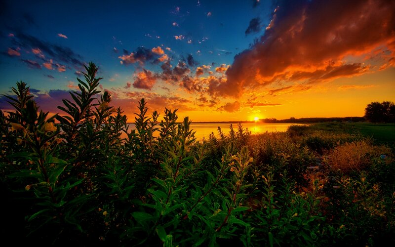 Sunset over Lake — Orange, Dramatic, Photograph, Plants, Clouds