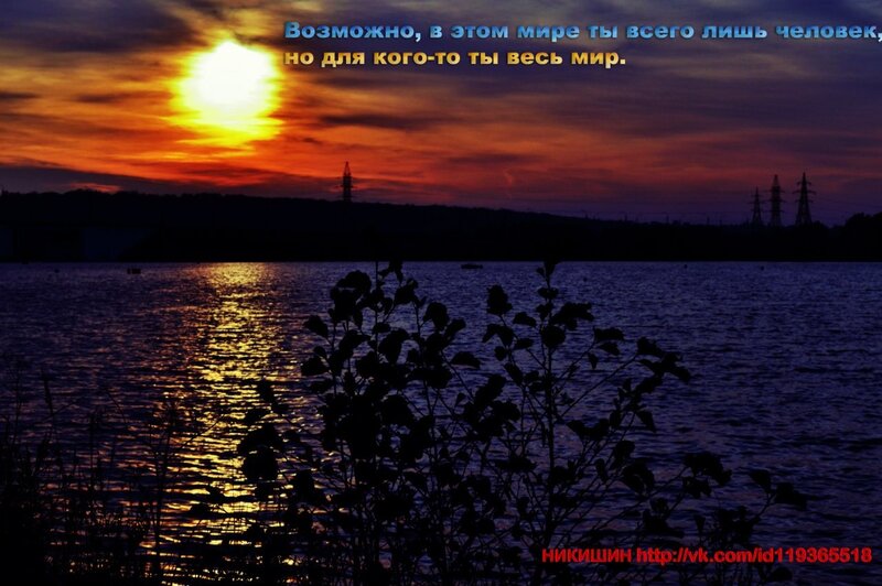 Sunset over Lake — Orange, Dramatic, Photograph, Plants, Power Lines