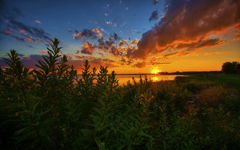Sunset over Lake — Orange, Dramatic, Photograph, Plants