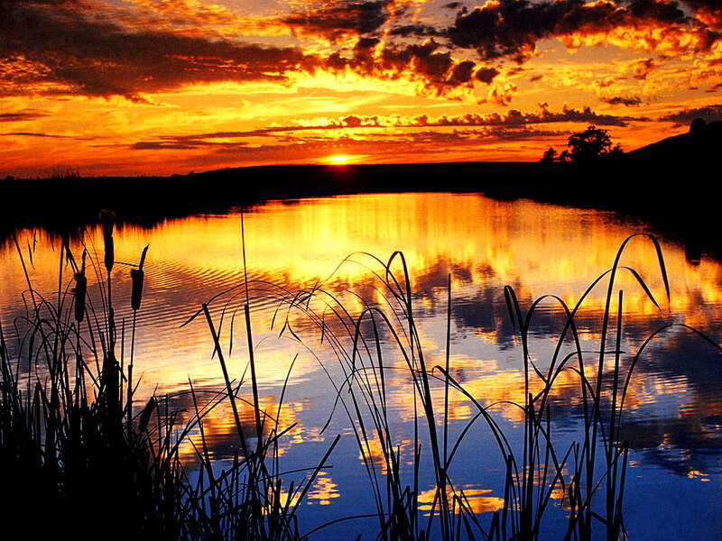 Sunset over Lake — Orange, Dramatic, Photograph, Reeds