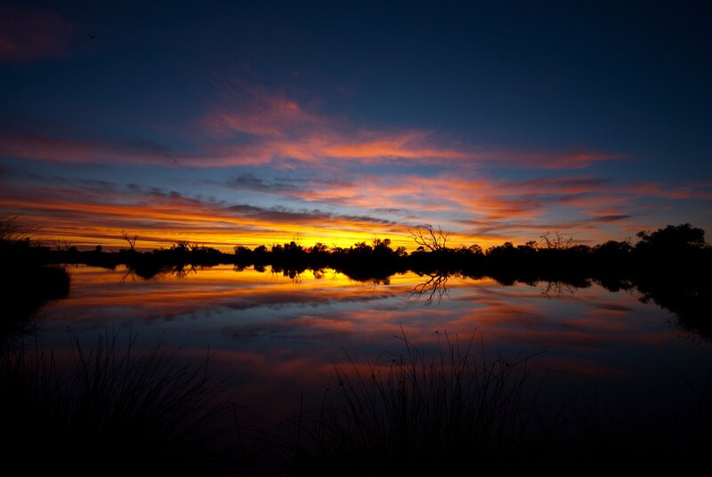 Sunset over Lake — Orange, Dramatic, Photograph, Sky, Trees, Grass, Blue