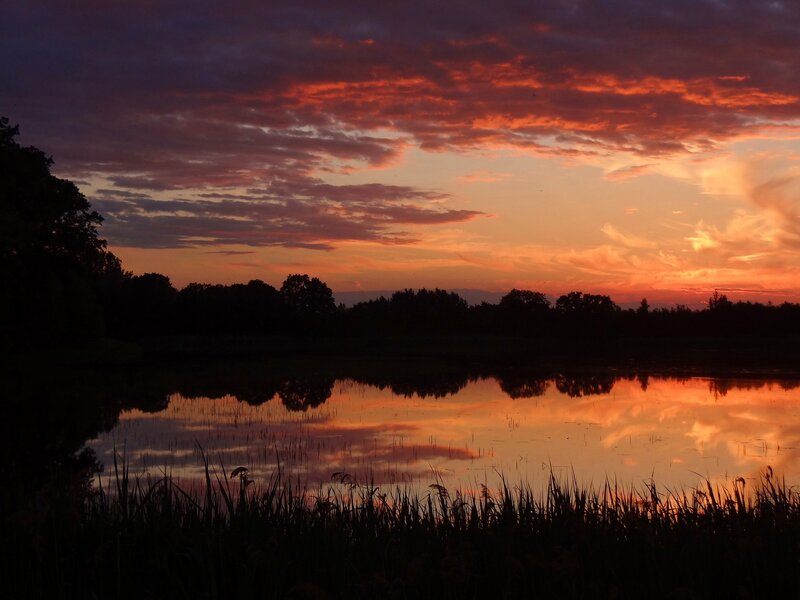 Sunset over Lake — Orange, Dramatic, Photograph, Sky, Trees, Grass, Purple