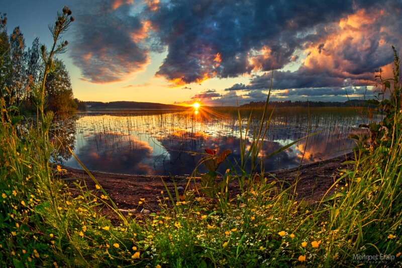 Sunset over Lake — Orange, Dramatic, Photograph, Sky, Water, Grass, Trees
