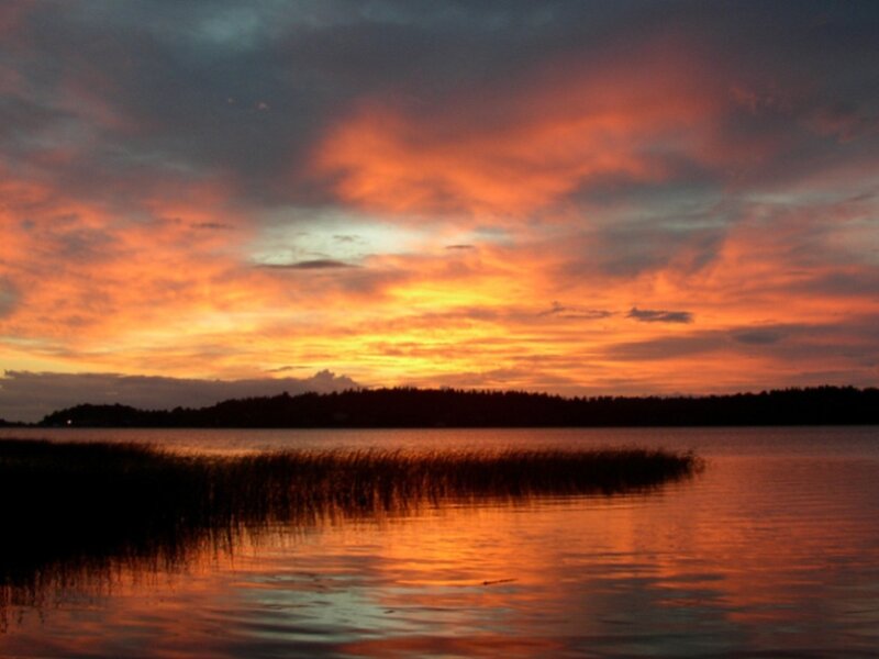 Sunset over Lake — Orange, Dramatic, Photograph, Sky, Water, Trees, Red, Black