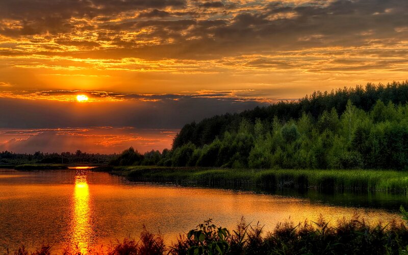 Sunset over Lake — Orange, Dramatic, Photograph, Sun, Trees