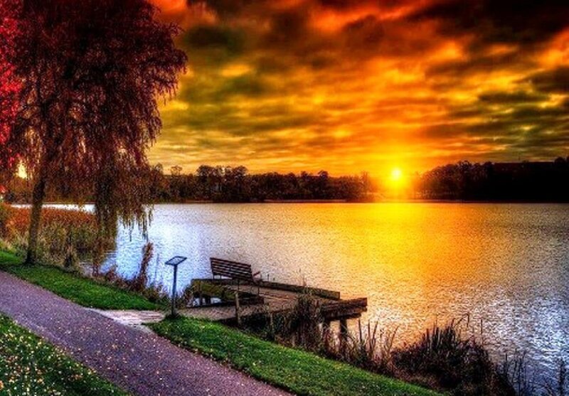 Sunset over Lake — Orange, Dramatic, Photograph, Tree, Bench
