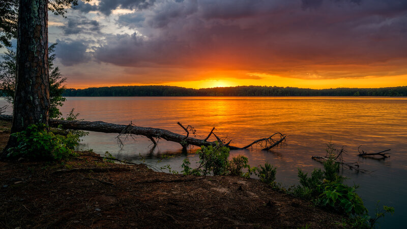 Sunset over Lake — Orange, Dramatic, Photograph, Tree, Fallen Log