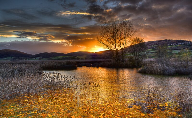 Sunset over Lake — Orange, Dramatic, Photograph, Tree, Hills