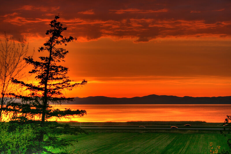 Sunset over Lake — Orange, Dramatic, Photograph, Tree