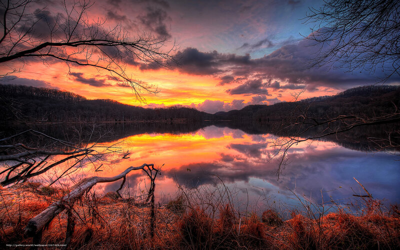Sunset over Lake — Orange, Dramatic, Photograph, Trees, Clouds, Reflection, Branch