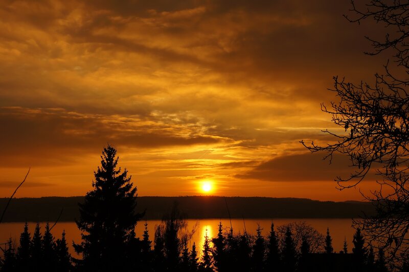 Sunset over Lake — Orange, Dramatic, Photograph, Trees, Clouds, Sun