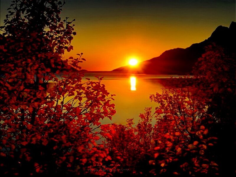 Sunset over Lake — Orange, Dramatic, Photograph, Trees, Mountain
