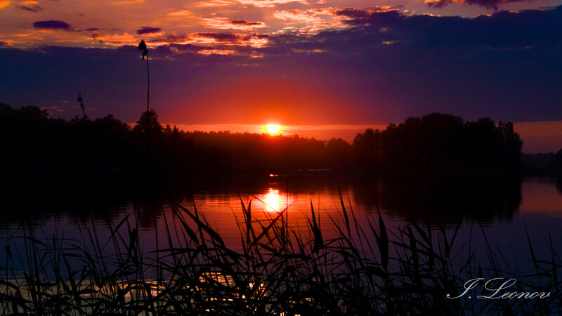 Sunset over Lake — Orange, Dramatic, Photograph, Trees, Reeds, Sun