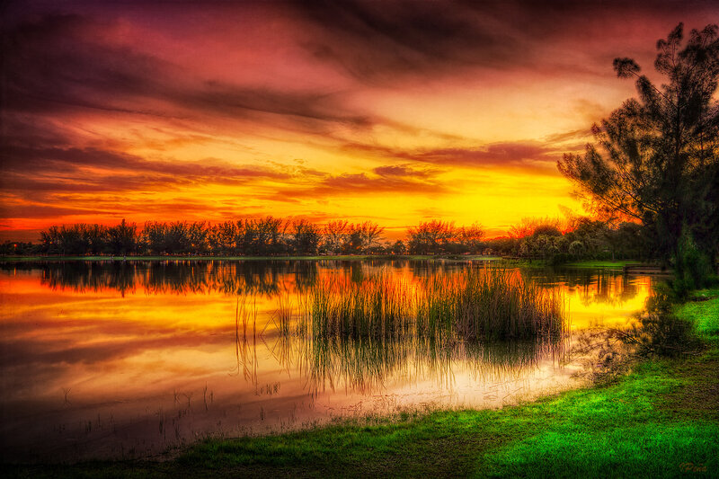 Sunset over Lake — Orange, Dramatic, Photograph, Trees, Reeds