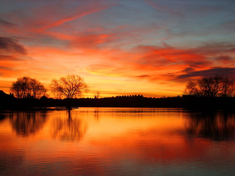 Sunset over Lake — Orange, Dramatic, Photograph, Trees, Sky, Buildings