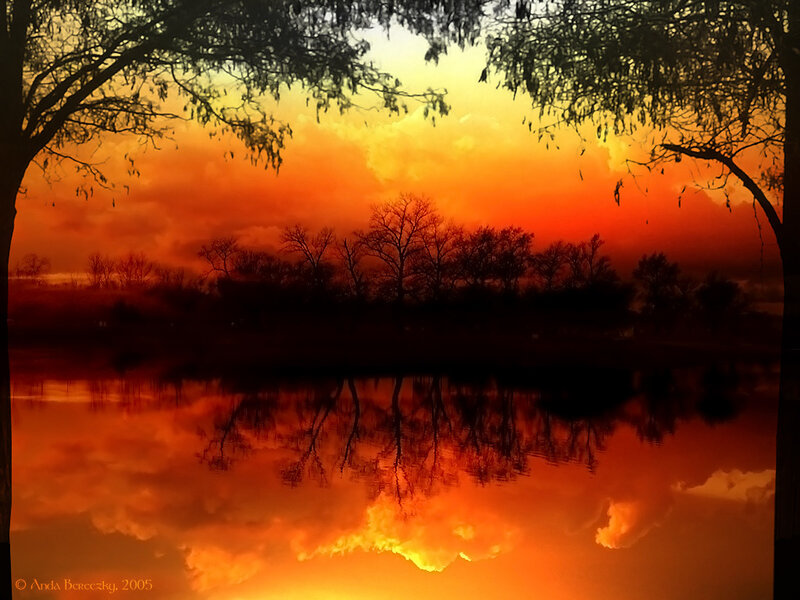 Sunset over Lake — Orange, Dramatic, Photograph, Trees, Sky