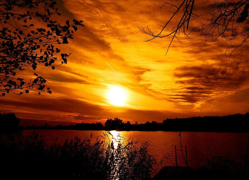 Sunset over Lake — Orange, Dramatic, Photograph, Trees, Sky, Water, Reeds