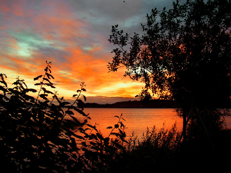 Sunset over Lake — Orange, Dramatic, Photograph, Trees, Sky, Water
