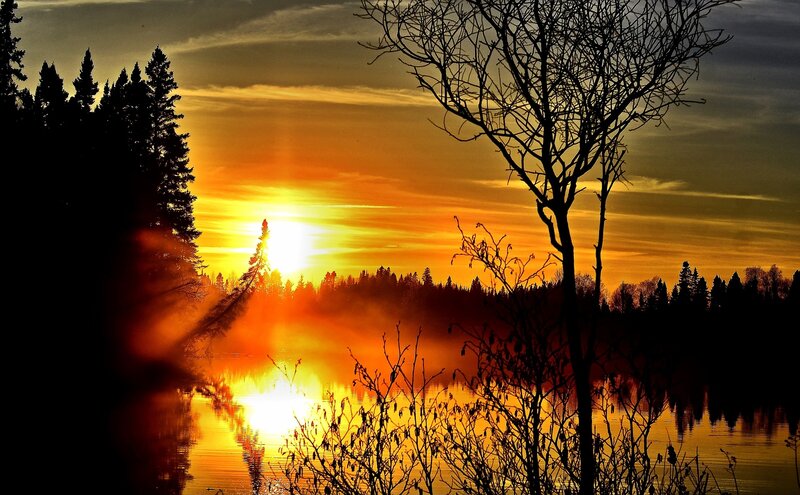 Sunset over Lake — Orange, Dramatic, Photograph, Trees, Sun, Mist
