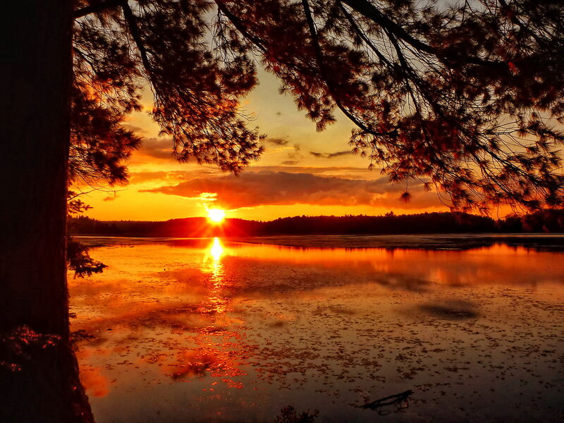 Sunset over Lake — Orange, Dramatic, Photograph, Trees, Sun