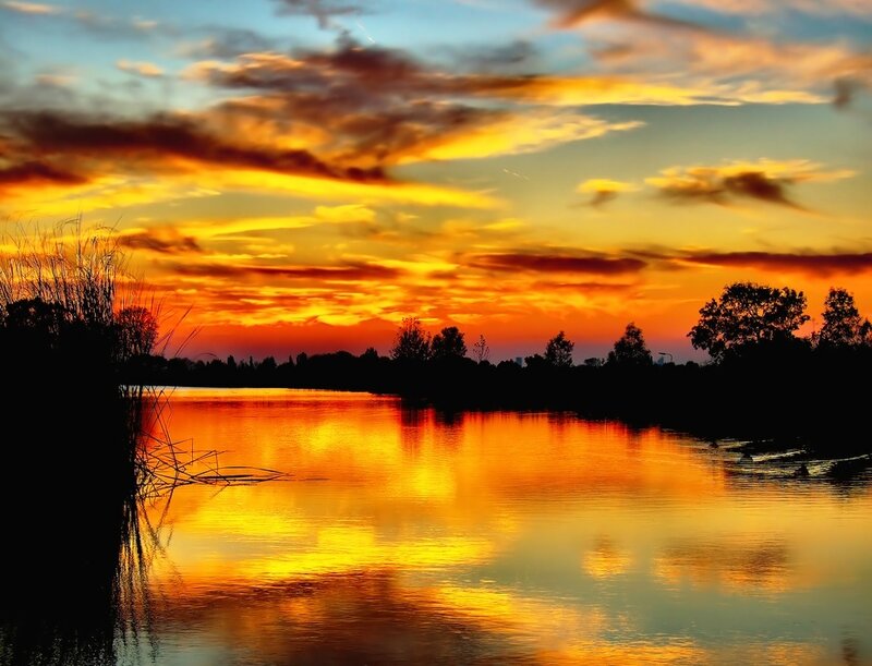Sunset over Lake — Orange, Dramatic, Photograph, Trees