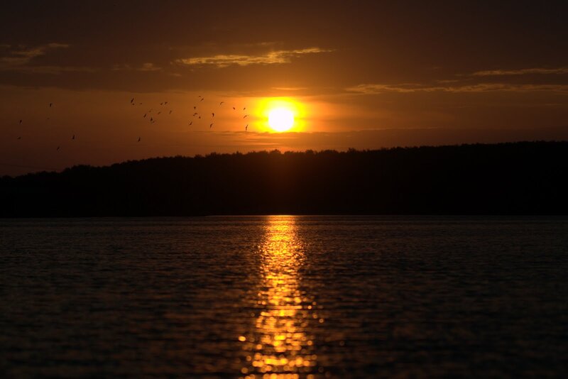 Sunset over Lake — Orange, Serene, Photograph, Birds, Trees