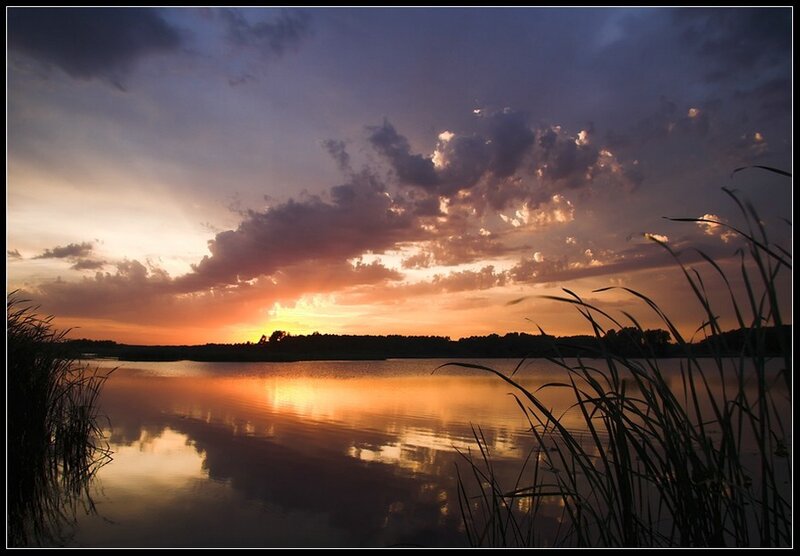 Sunset over Lake — Orange, Serene, Photograph, Clouds, Reeds