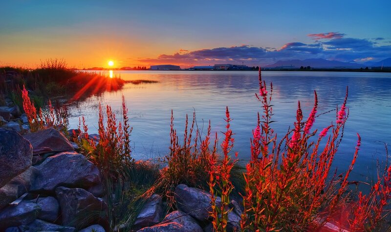 Sunset over Lake — Orange, Serene, Photograph, Flowers