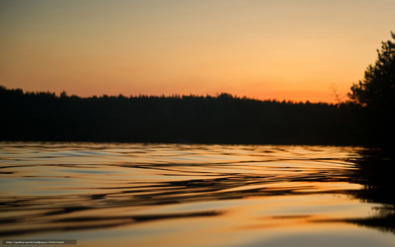 Sunset over Lake — Orange, Serene, Photograph, Forest, Sky