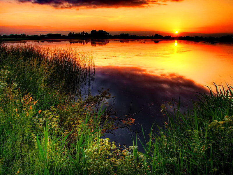 Sunset over Lake — Orange, Serene, Photograph, Grass