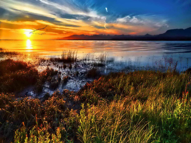 Sunset over Lake — Orange, Serene, Photograph, Mountains, Birds, Reeds