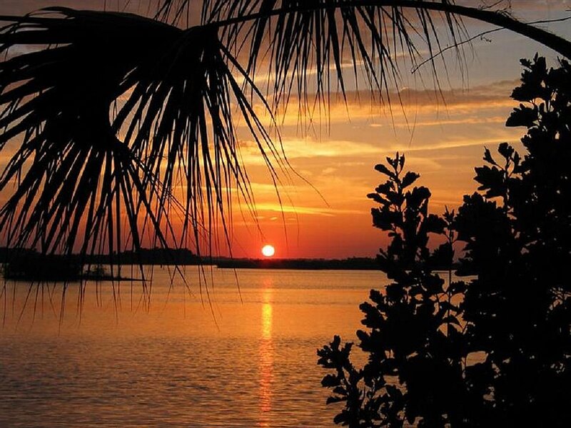 Sunset over Lake — Orange, Serene, Photograph, Palm Tree