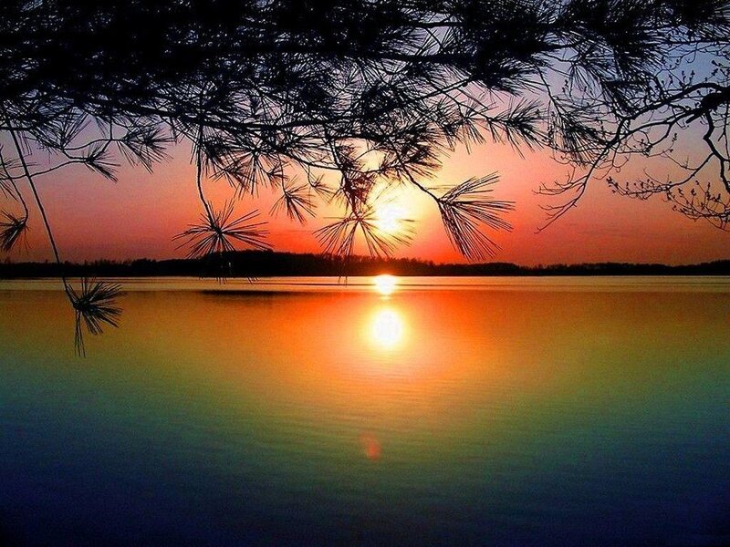 Sunset over Lake — Orange, Serene, Photograph, Pine Branches