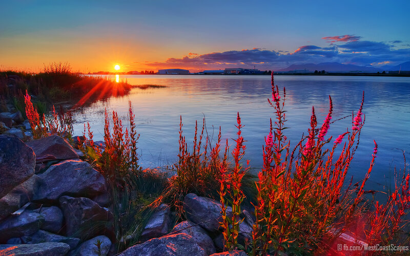 Sunset over Lake — Orange, Serene, Photograph, Plants