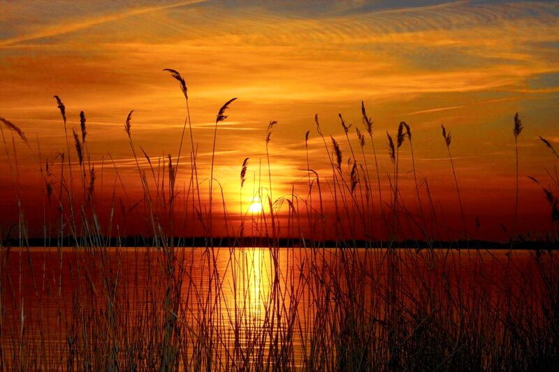 Sunset over Lake — Orange, Serene, Photograph, Reeds, Sky, Water
